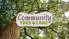 University of Illinois Extension offers tree care webinar series