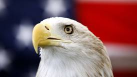 Biden signs a bill officially making the bald eagle the national bird of the US