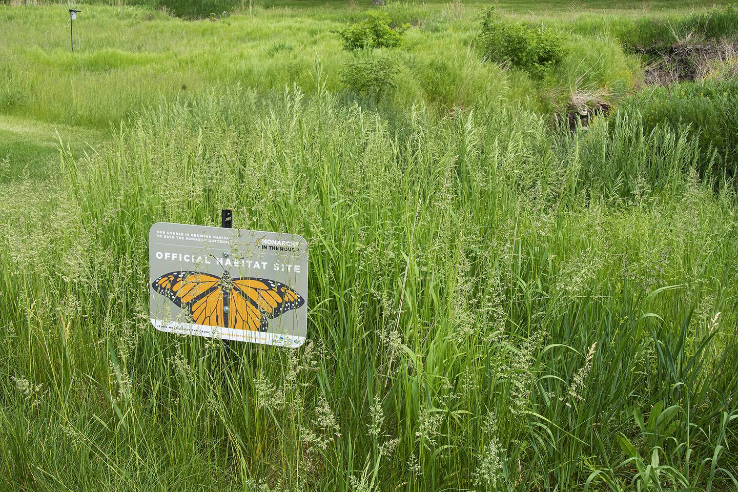 Pictured is a sign at the Carillon Lakes 3-hole golf course showing its inclusion into the Monarchs in the Rough program. Five years ago, residents at the gated community for active adults 55 and up started restoring unused areas of the golf course to its natural habitat.