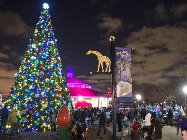 Holiday Magic at Brookfield Zoo runs throughout December 