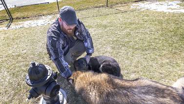 Sterling’s Dogwood Acres gets new additions for man’s best friend