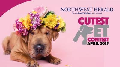 McHenry County's April Cutest Pet Contest