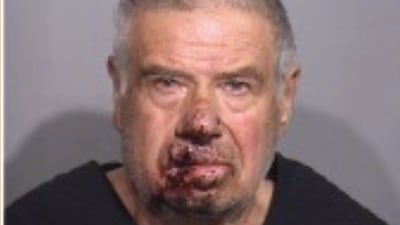 Itasca man, 75, charged in shooting death of woman near Harvard