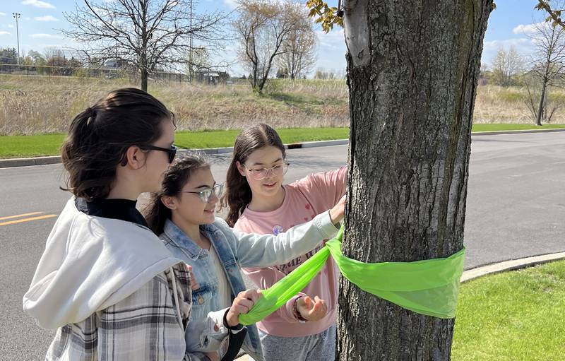 Abigail Bowgren, (left) Kate Bellino and Arianna Heckman tie a green ribbon around a tree by the middle schools in Geneva to promote May as as Mental Health Awareness Month.