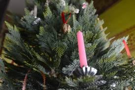 Fire officials urge following these safety tips this holiday season