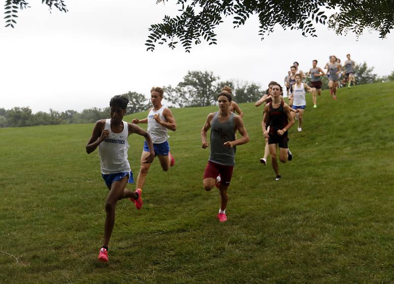 Runners come down a hill during the boys race of the McHenry County Cross Country Meet Saturday, August 27, 2022, at Emricson Park in Woodstock.
