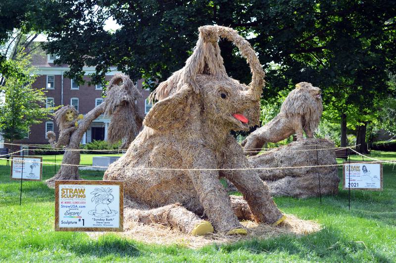 First place for Peoples Choice and for Artists Choice awards in the seventh annual U.S. National Straw Sculpting Competition were won by “Sunday Bath,” an elephant dousing itself in “water” created by Steve Lentz, of Montello, Wisconsin.