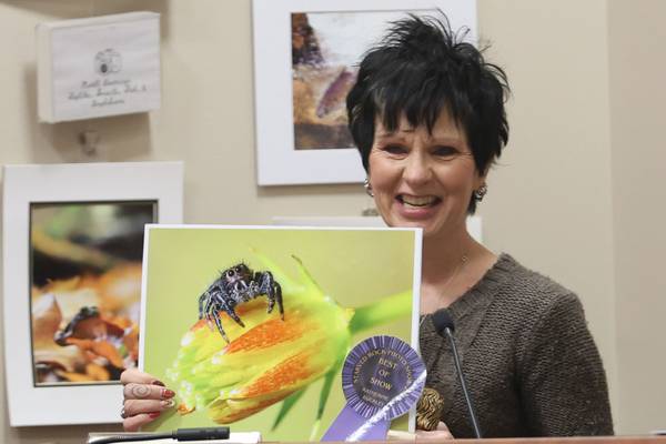 Photos: Starved Rock Photo Show draws 86 entries for 7th year