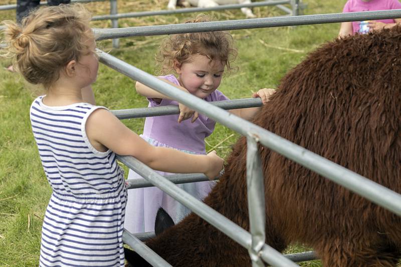 Ray (left), 3, and Hadley Nicklaus, 2, reach out to pet an alpaca Sunday, July 28, 2024, at the Lee County Fair.