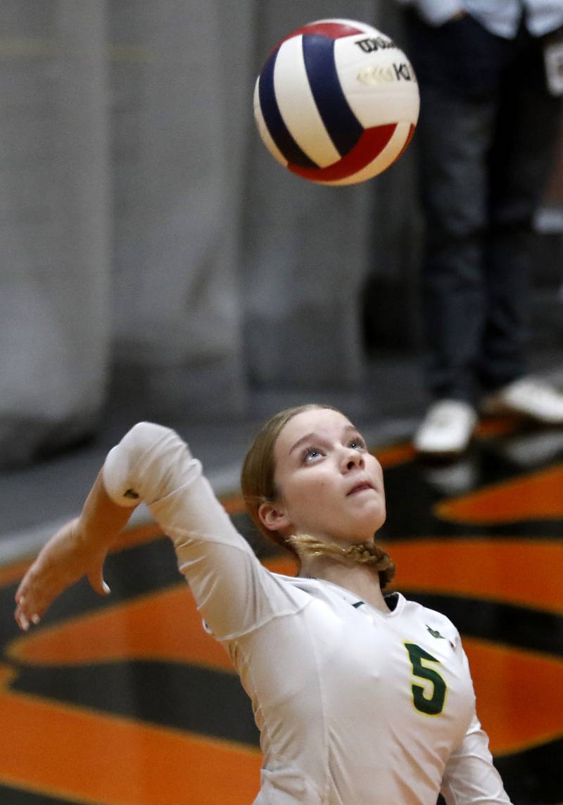 Crystal Lake South's Layla Addison serves the ball during the IHSA Class 3A Crystal Lake Central Regional volleyball final against Crystal Lake Central  on Oct. 31, 2024, at Crystal Lake Central High School.