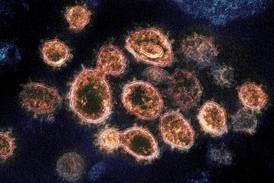 Coronavirus Test Article 2