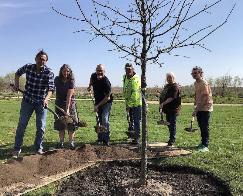 Kirkland Tree Commission members (from left to right) Jeff Miller, Michelle Chambers, Village Trustee Brian Benes, Kirkland Public Works Superintendent Jim Stark, Dawn Darling and Dale Giebel plant a swamp oak tree in a Kirkland park on April 28, 2023.