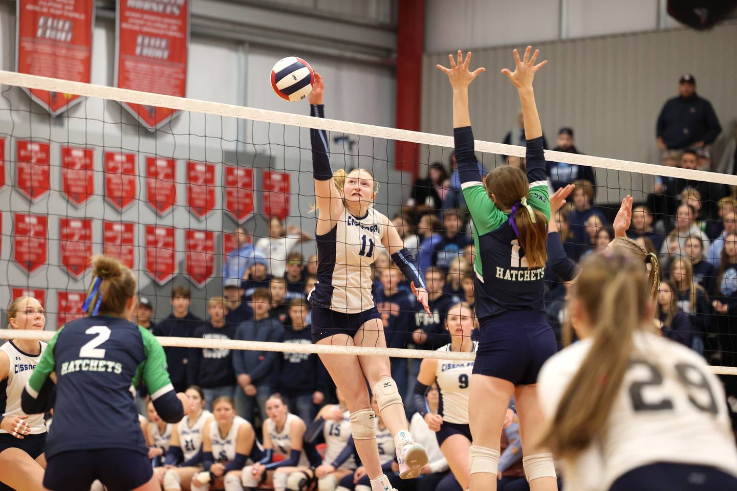 Cissna Park's Sophie Duis spikes the ball during the Timberwolves' victory in two sets, 25-22, 25-11, over Windsor/Stewardson-Strasburg in the IHSA Class 1A Heyworth Super-Sectional on Monday, Nov. 10, 2025.