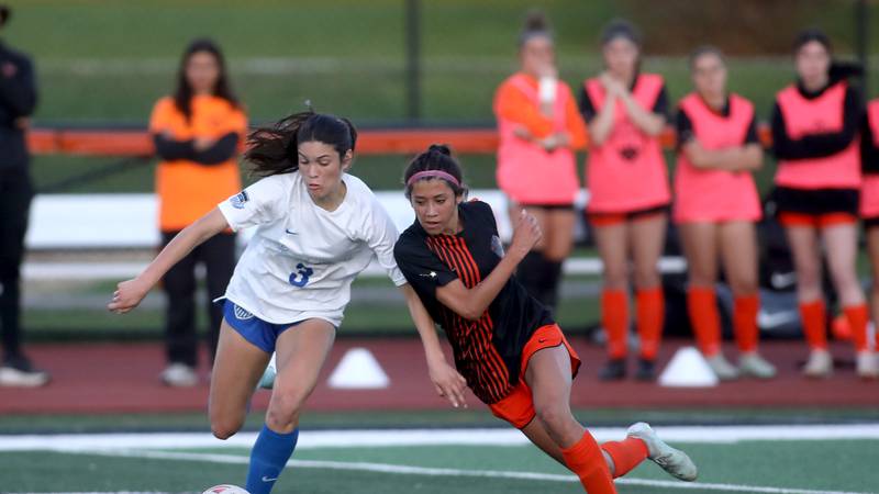 2026 Kane County Chronicle girls soccer previews