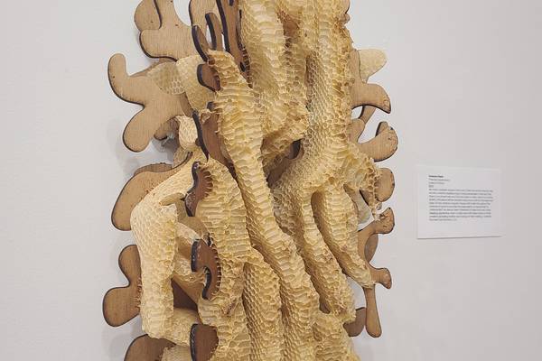 Pollinators take center stage in Dunn Museum exhibition