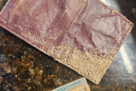 Wallet with ID from 1980s found in Pistakee Lake, reunited with owner’s sons
