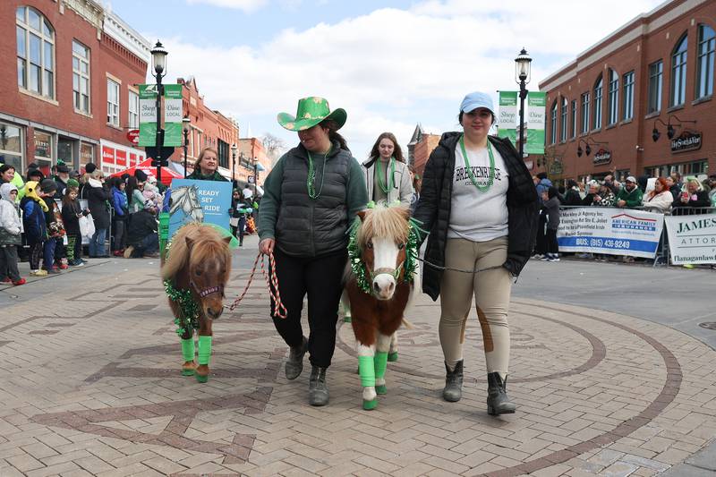 Therapeutic Recreation Facility walks mini horses in the Plainfield Hometown Irish Parade on Sunday, March 17, 2024 in Plainfield.