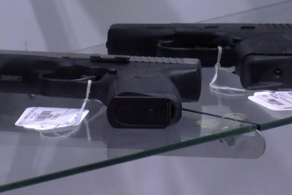 Gun safety presentation offered in Geneva for adults, children