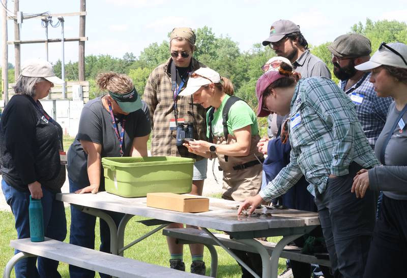 Alison Stodola, (center) a malacologist for the Illinois Natural History Survey and Prairie Reasearch Institute, shows freshwater muscles to a group of Tribal Nations during an event on Wednesday, May 20, 2026, at the Starved Rock Marina.