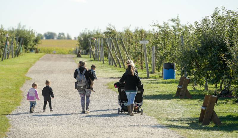 A couple of mothers and their children head into the orchard to pick apps at the Jonamac Orchard in Malta on Wednesday, Sept. 28, 2022.