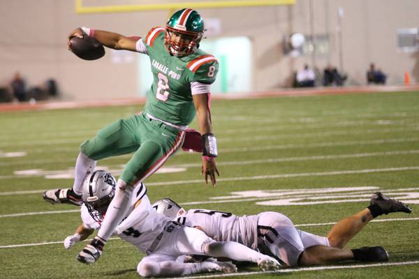 QB Marion Persich to transfer to Morris from La Salle-Peru
