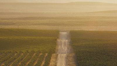 Uncorked: Santa Lucia Highlands lend magic to wines