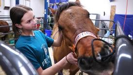 Photos: Daily Chronicle photos of the week for Feb. 20-26