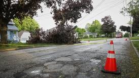 Downed trees, live wires, power outages after thunderstorms hit McHenry County area 