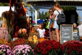 5 things to do in McHenry County: Johnny Appleseed Festival in Crystal Lake