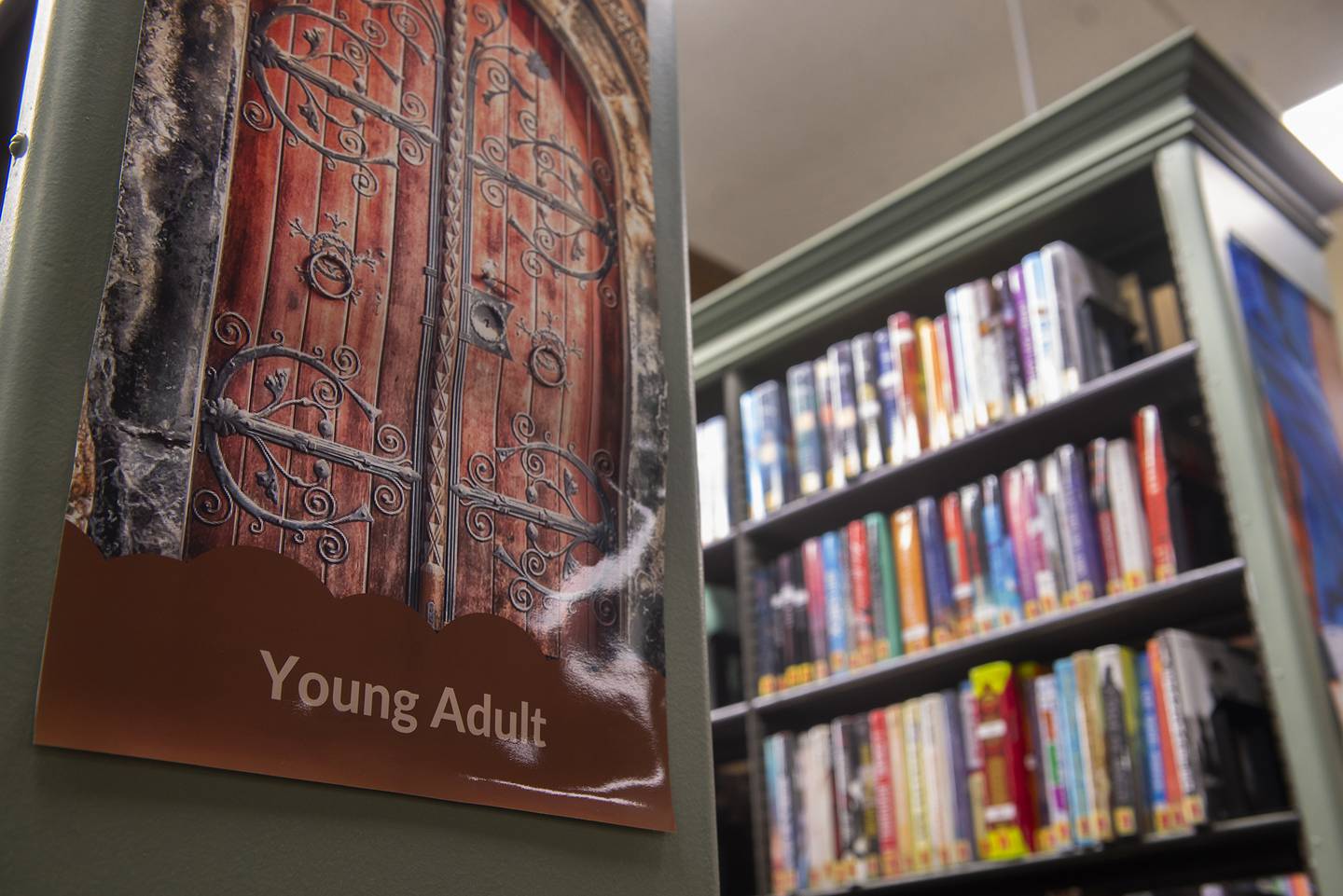 The books were displayed in a special Pride Month display near the young adult section of the Dixon Library.