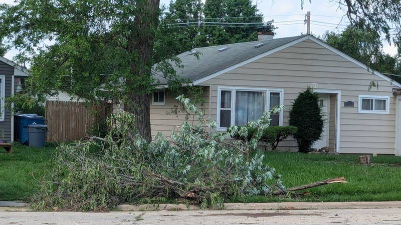 Tree limbs lay in a yard on Burry Circle Drive in Crest Hill. Tuesday, July 16, 2024, after Monday night's storm.