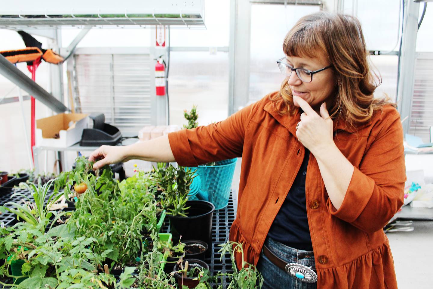 Morrison High School agriculture teacher Tonia Prombo inspects a growing tomato plant inside the school's greenhouse.