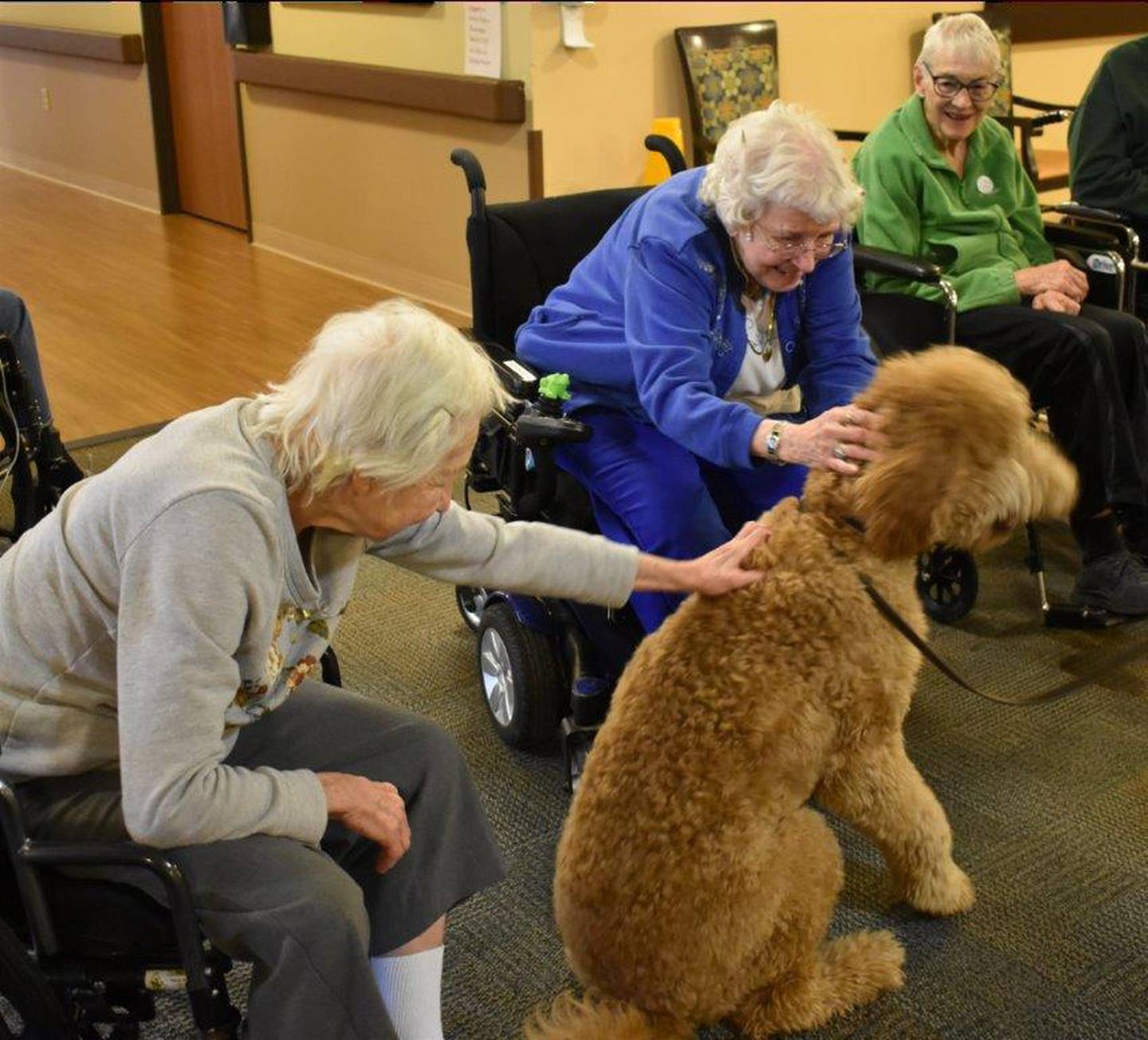 Whiteside County Sheriff’s Therapy dog Copper visiting Resthave Care &  Rehabilitation on Thursday, March 31  with his handler Lt. Kim Cavazos and Sheriff John Booker. Pictured: Dolores “Dolly” Karol, Gloria Grams and Jane Tornquist showing Copper some love. Photo provided by Resthave Care and Rehabilitation.