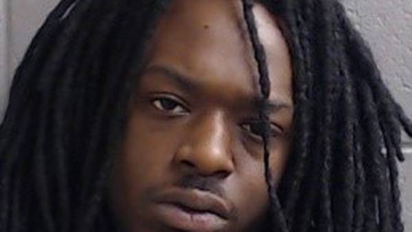 Rock Falls man sent to prison for 10 years on weapons, drug charges; 19 other charges dismissed in plea deal