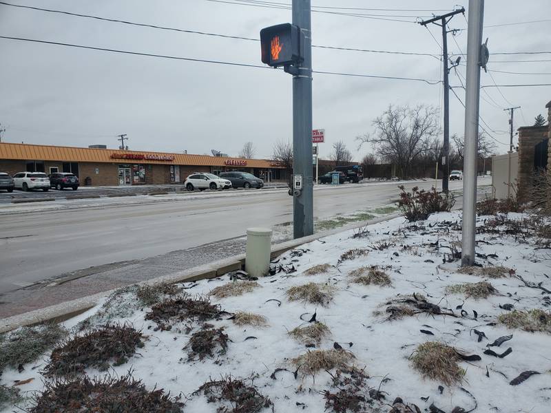 Winter paid a visit to Will County on Monday, starting around 9:30 a.m. By mid-afternoon, some of the roads were slushy and grassy areas were covered in snow.