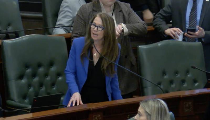 State Rep. Jennifer Gong-Gershowitz, D-Glenview, speaks in favor of her bill to regulate ride-share companies as "common carriers" during House floor debate this week.
