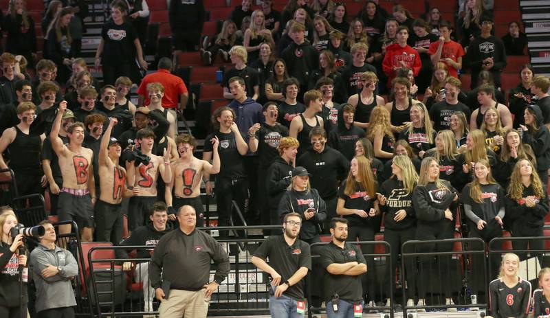 Barrington fans cheer on their volleyball team in the Class 4A semifinal game on Friday, Nov. 11, 2022 at Redbird Arena in Normal.