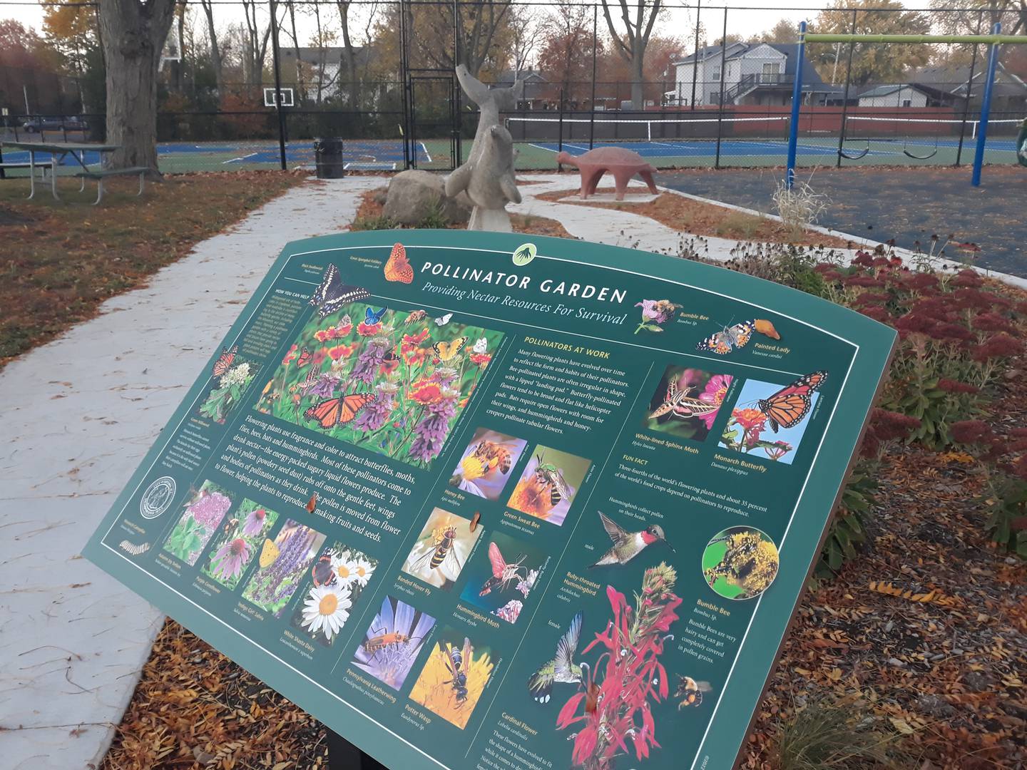 A pollinator garden is among the new amenities at Thornton Park in Ottawa.