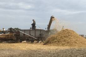 Erie farm’s threshing bee to give visitors close-up look at old-fashioned farming