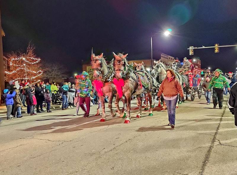 The Grey Thunder Percherons march through the lighted parade Saturday, Nov. 27, 2021, during the Keeping Christmas Close to Home celebration in Streator.