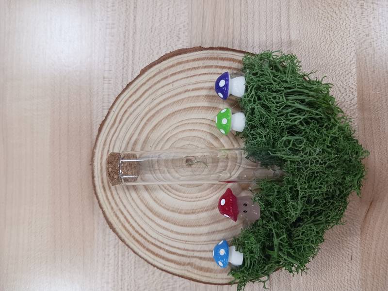 Patrons enjoyed a hands-on experience crafting a rustic plant propagation holder-perfect for showcasing their favorite plant cuttings.