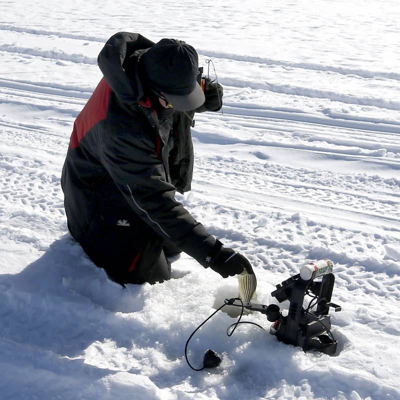 Trevor Janes, who owns Wet N Wild Outfitters, pulls a yellow bass out of the hole in the ice while ice fishing Friday, Feb 3. 2023, on Petite Lake near Fox Lake.