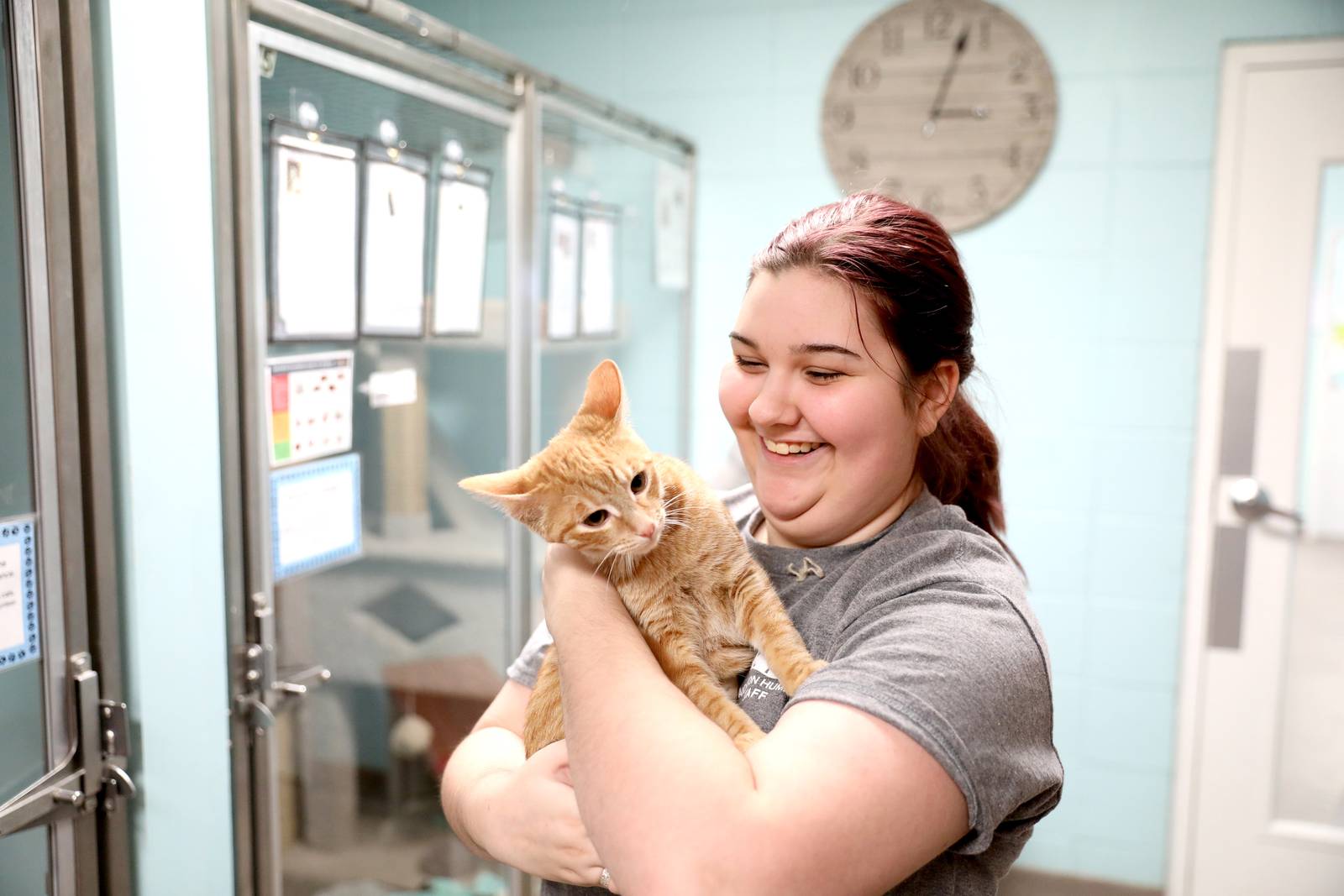 Illinois veterinary group opposes Kane County lawmaker’s bill to ban