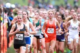 All-Stater Avery Hacker has happy return to state, leads Batavia girls runners to fifth place in Class 3A