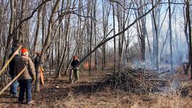 Volunteers needed for brush cleanup days at Will County forest preserves