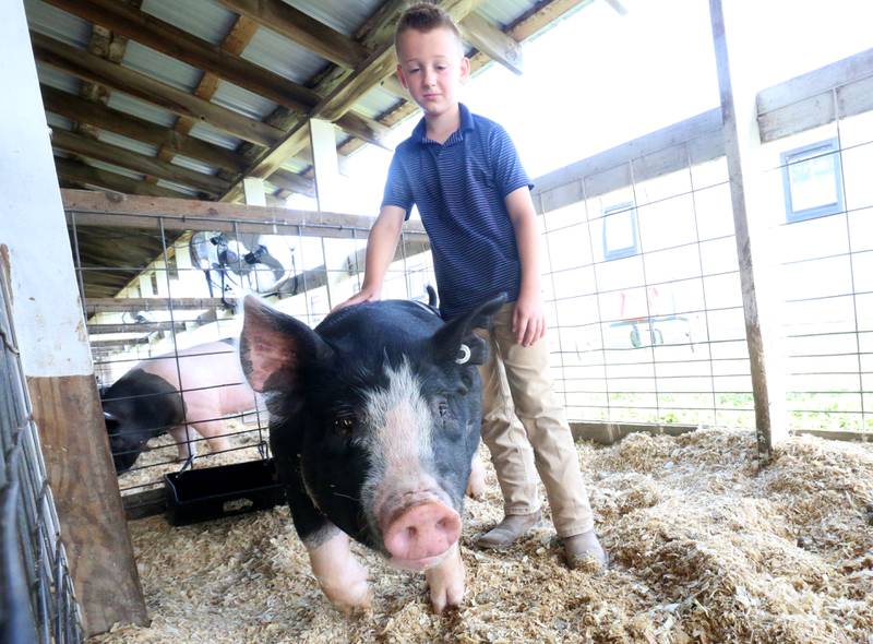 Maverick Convoy of Minonk, prepares his pig for show during the Marshall-Putnam County 4-H Fair on Wednesday, July 23, 2025 at the Marshall-Putnam Fairgrounds in Henry.