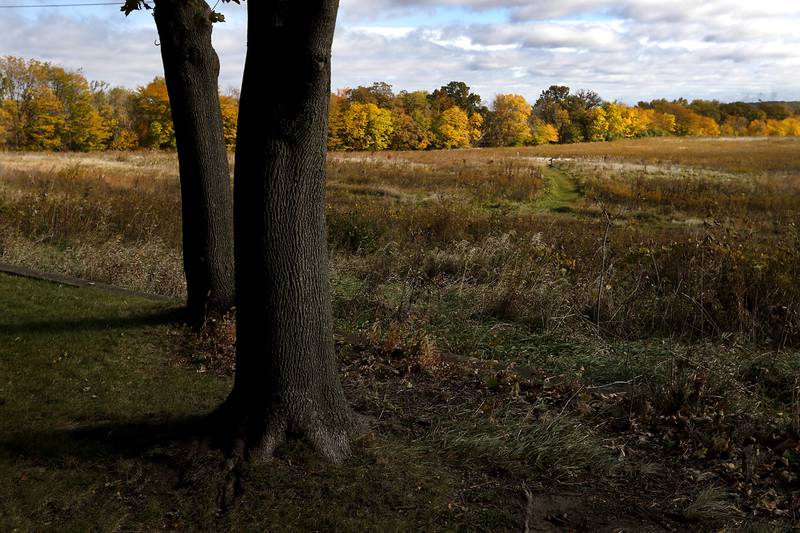 Fall colors line the prairie on Tuesday, Oct. 18, 2022, at the McHenry County Conservation District's Prairieview Education Center in Silver Creek Conservation Area. The center, located at 2112 Behan Road in Crystal Lake, has reopened, to the public on Tuesdays and Thursdays and to school groups, after being closed for since the beginning of the pandemic.