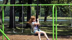 New playground with 100-foot zip line coming to Vaile Park this fall