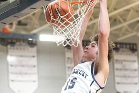 Boys basketball: Princeton’s LaPorte, Fieldcrest’s Ruestman, Earlville’s Coo voted honorable mention all-state
