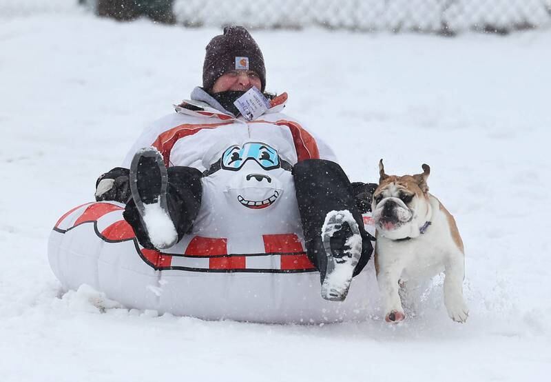 Emily Weller, of DeKalb, is chased by her English bulldog Max as she careens down the sled hill Tuesday, Jan. 9, 2024, at Hopkins Park in DeKalb. Several inches of heavy, wet snow Tuesday was a headache for some and fun for others.